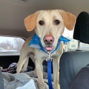 Meet your Posher, Mitchell